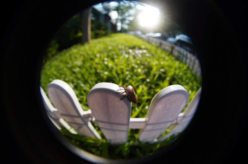 TTArtisan TTArtisan 7.5mm f/2.0 Fisheye-objektiv for Micro 4/3