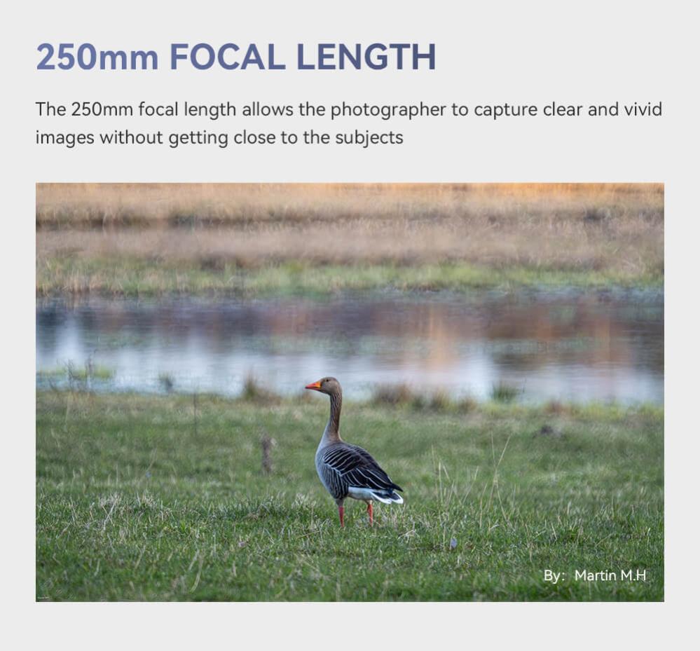 TTArtisan TTartisan 250mm f/5.6 Spegelobjektiv for M42-fattning
