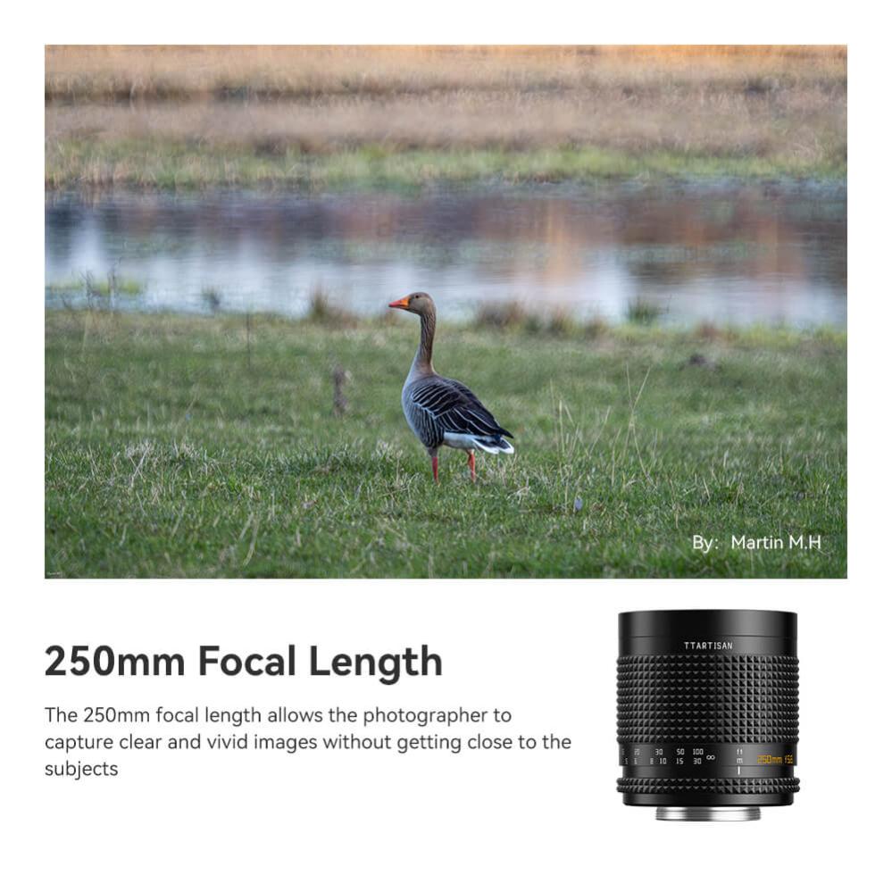 TTArtisan TTartisan 250mm f/5.6 Spegelobjektiv for M42-fattning