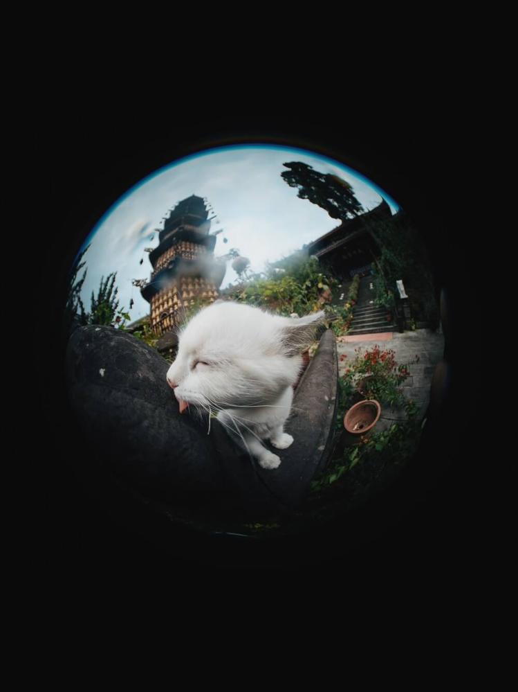 7Artisans 7Artisans 4mm f/2.8 Fisheye-objektiv APS-C for Micro 4/3