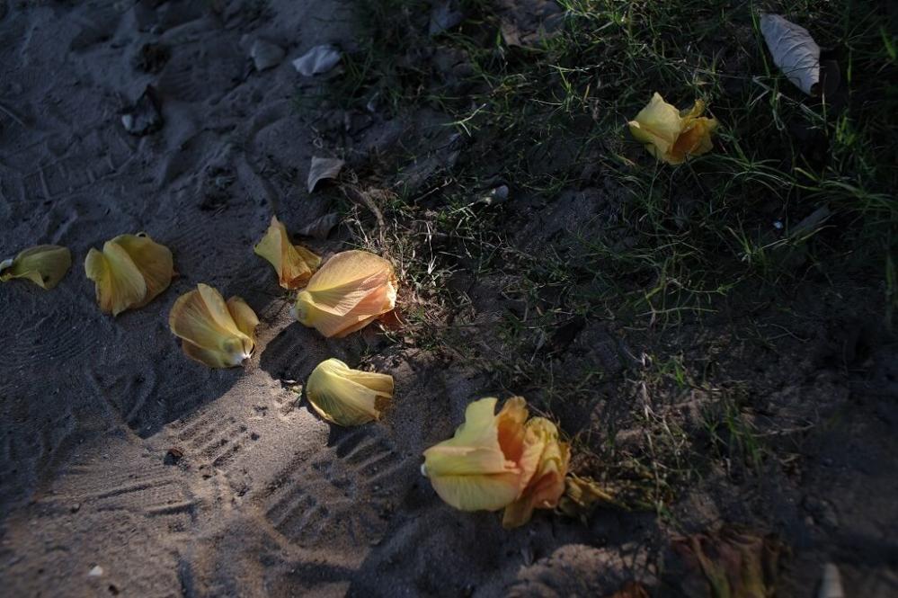  7Artisans 24mm f/1,4 för Canon RF (APS-C) från Kamda – snabb leverans och trygg e-handel