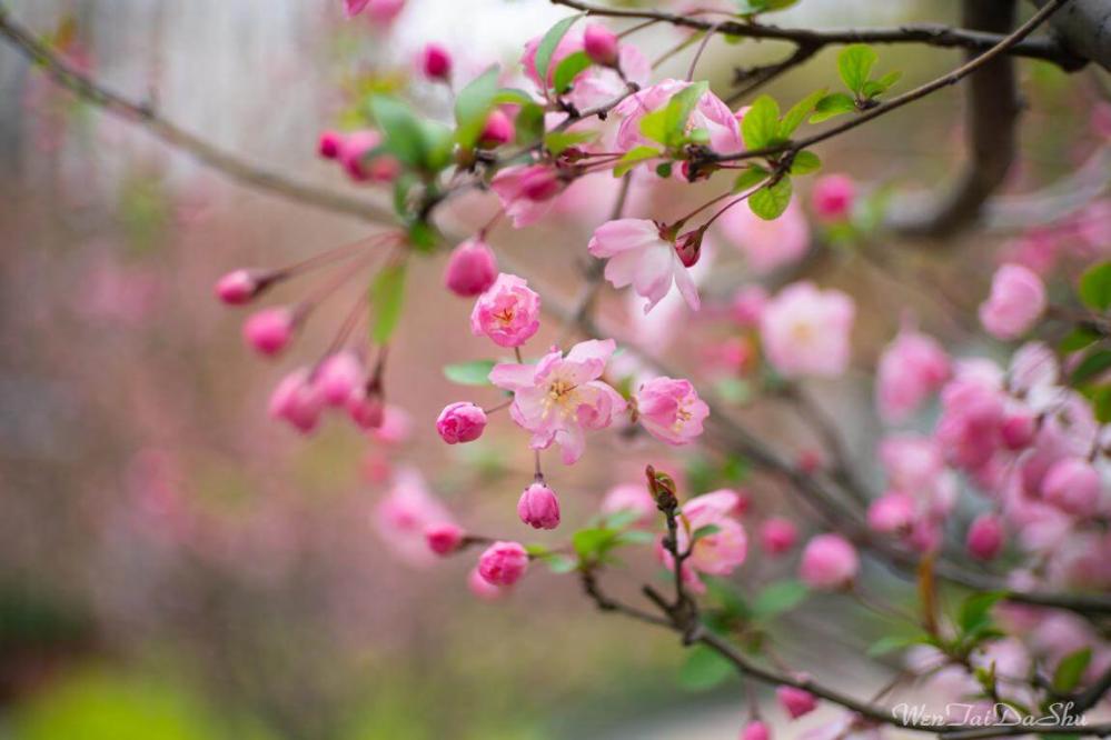  7Artisans 35mm f/1.4 objektiv APS-C för Fujifilm X från Kamda – snabb leverans och trygg e-handel