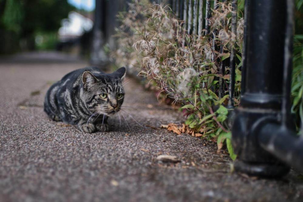 7Artisans 35mm f/1.4 objektiv APS-C för Fujifilm X från Kamda – snabb leverans och trygg e-handel