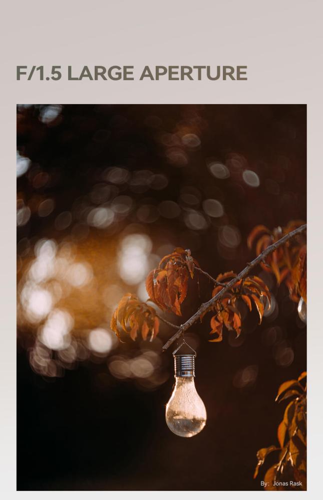 TTArtisan TTArtisan 75mm f/1.5 Swirly Bokeh for M42 – Skapa en unik, konstnärlig look