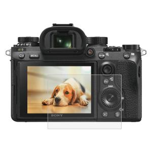 Puluz Puluz Skjermbeskytter herdet glas 9H for Sony ILCE-9 (A9)