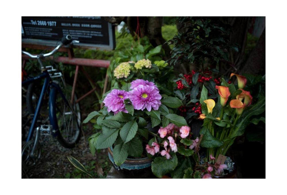7Artisans 7Artisans M35mm f/1.4 objektiv for Leica M