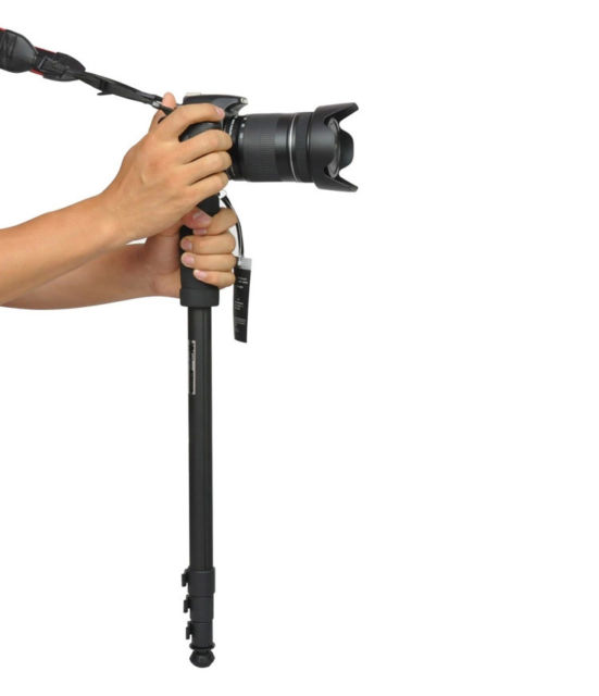 Fancier Fancier Enbensstativ 171.5cm WT-1003