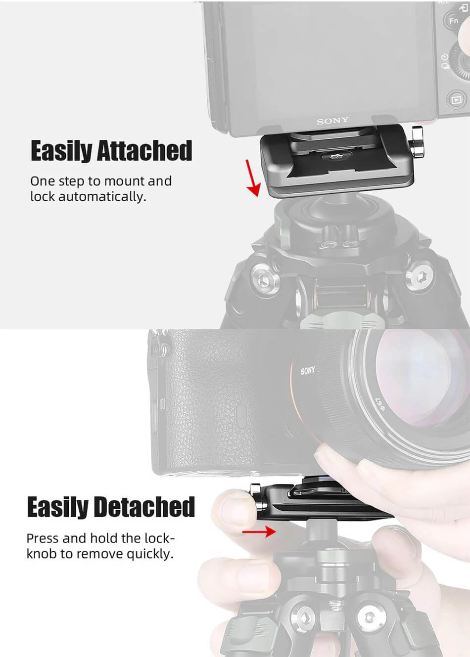 Sunwayfoto Sunwayfoto sqc-38 raskkoblingsfeste 38mm och qr-platta